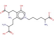<span class='lighter'>D-</span>焦谷<span class='lighter'>氨酸</span>