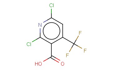 2,6-<span class='lighter'>氯</span>-4-三氟甲基<span class='lighter'>烟酸</span>