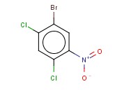 <span class='lighter'>1-BROMO-2,4</span>-DICHLORO-5-NITROBENZENE