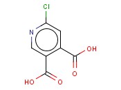 6-<span class='lighter'>氯</span><span class='lighter'>吡啶</span>-3,4-二<span class='lighter'>甲酸</span>