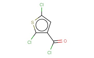 2,5-二<span class='lighter'>氯</span>硫代苯-3-碳<span class='lighter'>酰</span><span class='lighter'>氯</span>
