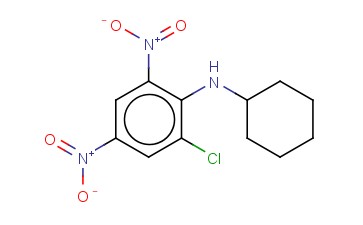(2-CHLORO-4,6-DINITRO-PHENYL)-CYCLOHEXYL-AMINE