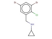 N-(3,5-DIBROMO-2-CHLOROBENZYL)CYCLOPROPANAMINE