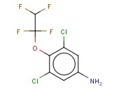 3,5-DICHLORO-4-(1,1,2,2-TETRAFLUOROETHOXY)ANILINE