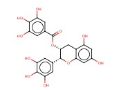 (-)-Epigallocatechin gallate (EGCG)