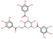 RENNOTECH RP31134