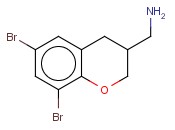 (6,8-DIBROMO-CHROMAN-3-YL)-METHYLAMINE