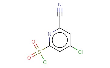 4-CHLORO-6-<span class='lighter'>CYANOPYRIDINE</span>-2-SULFONYL CHLORIDE