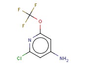 2-CHLORO-6-(TRIFLUOROMETHOXY)PYRIDIN-4-AMINE