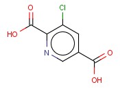 3-CHLOROPYRIDINE-2,5-DICARBOXYLIC ACID