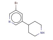 3-BROMO-5-(PIPERIDIN-4-YL)PYRIDINE
