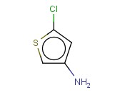 3-AMINO-5-CHLOROTHIOPHENE