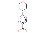 5-(4-<span class='lighter'>吗</span><span class='lighter'>啉</span><span class='lighter'>基</span>)-2-吡嗪甲酸