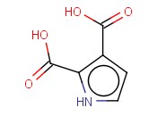 1H-吡咯-2,3-<span class='lighter'>二羧酸</span>