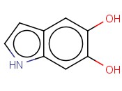 5,6-DihydroxyindoleI