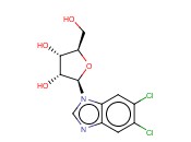 5,6-二<span class='lighter'>氯</span>-1-β-D-呋喃核糖基<span class='lighter'>苯并咪唑</span>