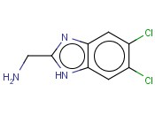 (5,6-DICHLORO-1H-1,3-BENZODIAZOL-2-YL)METHANAMINE