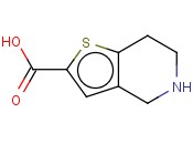 4,5,6,7-Tetrahydrothieno[3,2-c]pyridine-2-carboxylic acid