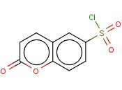 香豆素-6-磺酰氯