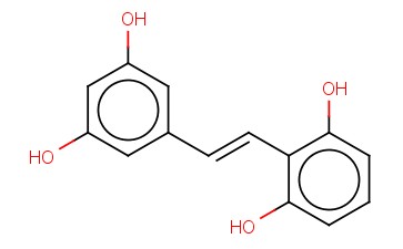 <span class='lighter'>GNETOL</span>
