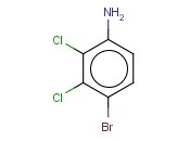 四<span class='lighter'>溴</span>-2,3 -二<span class='lighter'>氯苯胺</span>