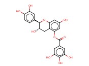 2-(3,4-DIHYDROXYPHENYL)-3,4-DIHYDRO-1(2H)-BENZOPYRAN-3,5,7-TRIOL 5-(3,4,5-TRIHYDROXYBENZOATE)