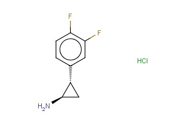 (1R,2S)-REL-2-(3,4-二氟<span class='lighter'>苯基</span>)<span class='lighter'>环</span><span class='lighter'>丙</span><span class='lighter'>胺</span><span class='lighter'>盐酸盐</span>