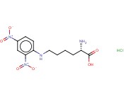 N-(2,4-二<span class='lighter'>硝基苯</span>)-L-赖氨<span class='lighter'>酸盐酸盐</span>