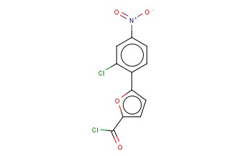 5-(2-<span class='lighter'>氯</span>-4-硝基苯基)-2-糠<span class='lighter'>酰</span><span class='lighter'>氯</span>