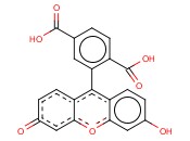 2-(3-HYDROXY-6-OXO-XANTHEN-9-YL)TEREPHTHALIC ACID