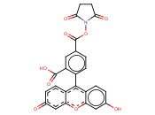 5-羧基荧光素琥珀酰亚胺酯