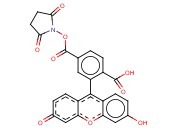 6-羧基荧光素琥珀酰亚胺酯