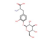(2S)-3-(4-[(2S,4S,5S,3R,6R)-3,4,5-TRIHYDROXY-6-(HYDROXYMETHYL)(2H-3,4,5,6-TETRAHYDROPYRAN-2-YLOXY)]-3-HYDROXYPHENYL)-2-AMINOPROPANOIC ACID