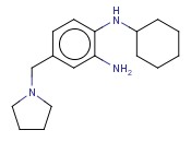 1-N-CYCLOHEXYL-4-(PYRROLIDIN-1-YLMETHYL)BENZENE-<span class='lighter'>1,2-DIAMINE</span>