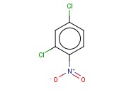 2,4-DICHLORONITROBENZENE
