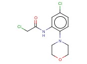 2-CHLORO-N-[5-CHLORO-2-(MORPHOLIN-4-YL)PHENYL]ACETAMIDE