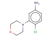 4-CHLORO-3-(MORPHOLIN-4-YL)ANILINE