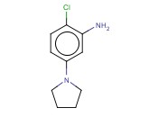 2-CHLORO-5-(PYRROLIDIN-1-YL)ANILINE
