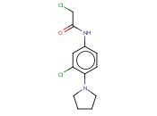 2-CHLORO-N-(3-CHLORO-4-PYRROLIDIN-1-YL-PHENYL)-ACETAMIDE