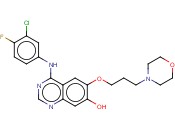 7-羟基喹唑<span class='lighter'>啉</span>, 4-[(3-氯-4-氟苯基)氨基]-6-[3-(4-<span class='lighter'>吗</span><span class='lighter'>啉</span><span class='lighter'>基</span>)丙氧基]-