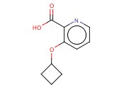 3-CYCLOBUTOXYPYRIDINE-2-CARBOXYLIC ACID