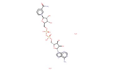BETA-<span class='lighter'>NAD</span> DIHYDRATE