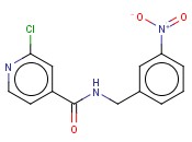2-CHLORO-N-(3-NITRO-BENZYL)-<span class='lighter'>ISONICOTINAMIDE</span>