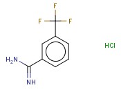 3-Trifluoromethyl-benzamidine hydrochloride