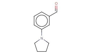 3-(1-<span class='lighter'>吡咯</span>烷基)苯<span class='lighter'>甲醛</span>