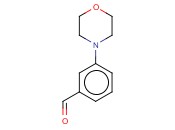 3-<span class='lighter'>吗</span><span class='lighter'>啉</span><span class='lighter'>基</span>苯甲醛