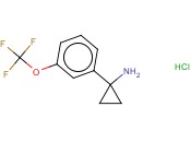 1-(3-(TRIFLUOROMETHOXY)PHENYL)CYCLOPROPANAMINE HYDROCHLORIDE