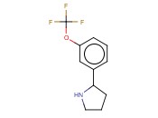 2-[3-(TRIFLUOROMETHOXY)PHENYL]PYRROLIDINE