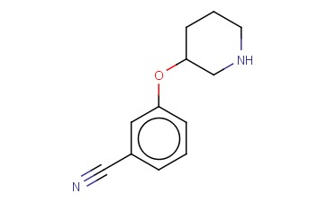 3-(哌啶-3-氧基)<span class='lighter'>苯</span><span class='lighter'>甲</span><span class='lighter'>腈</span>