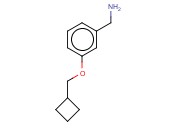 (3-(CYCLOBUTYLMETHOXY)PHENYL)METHANAMINE